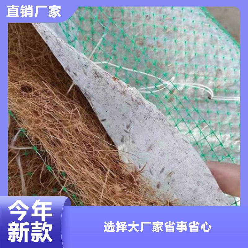 植生椰丝毯-椰纤植生毯