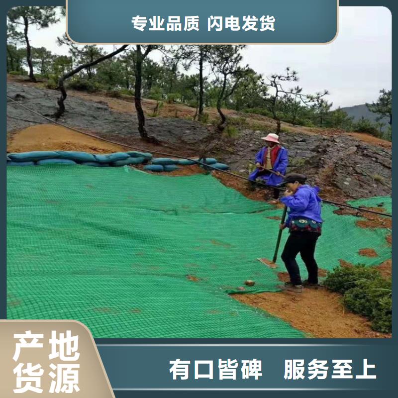 护坡绿化植草毯抗冲毯