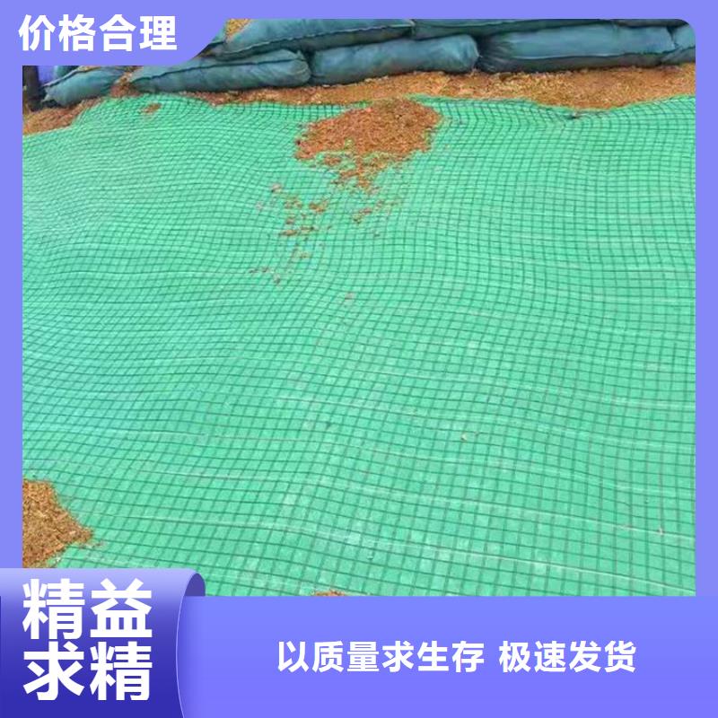 椰丝毯施工