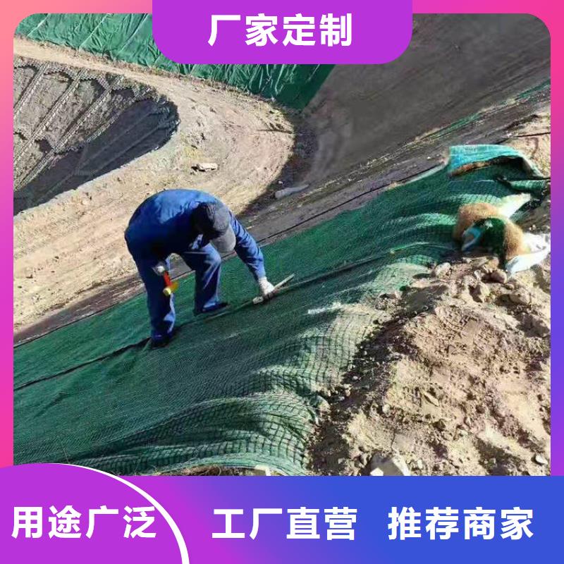 椰纤植生毯稻草纤维毯