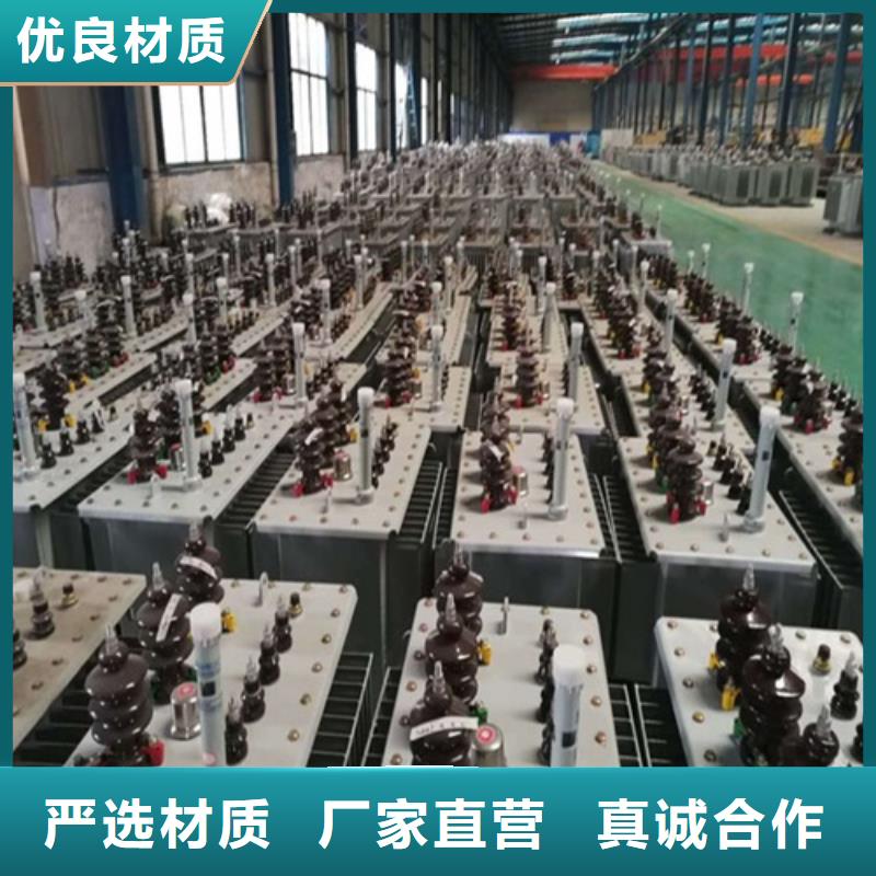 乐东县40000KVA油浸式变压器来厂考察