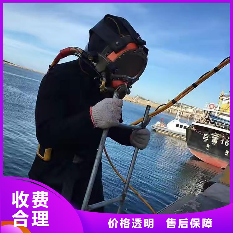 巴南区水下打捞凶器全国发货