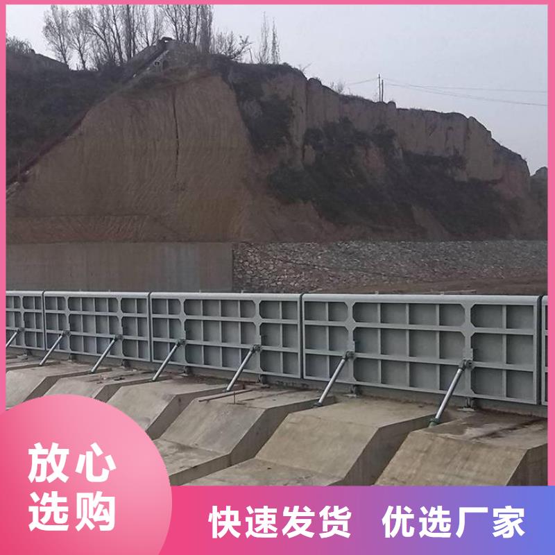 乐东县不锈钢渠道闸门、自撑式渠道闸门