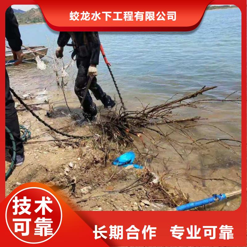 潜水员水下探摸常规货源充足