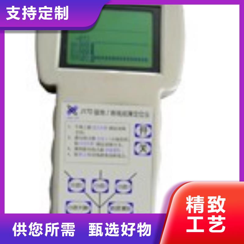 异频线路参数测试仪灭磁过电压测试装置好产品价格低