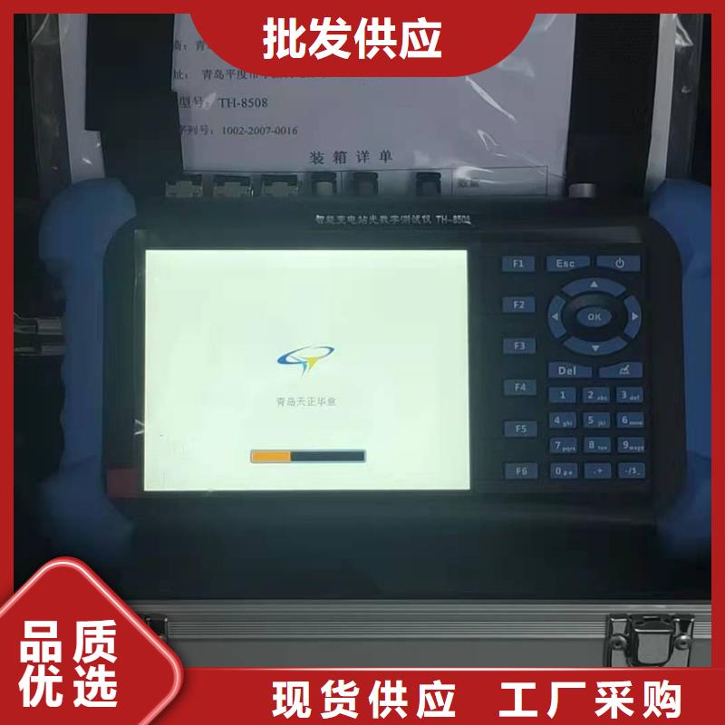 手持式光数字测试仪励磁系统开环小电流测试仪厂家现货批发