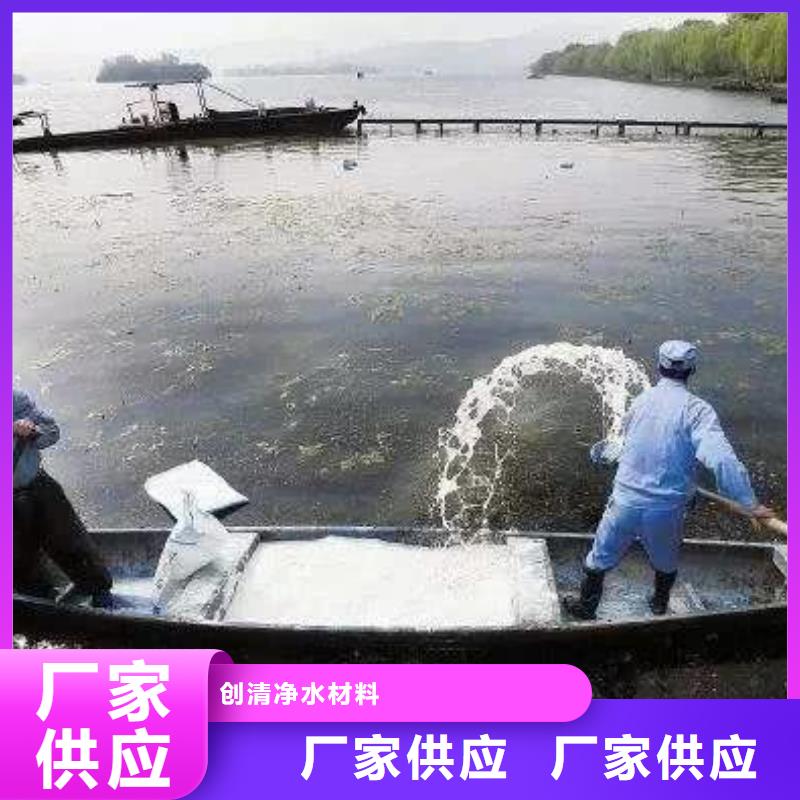 污水氨氮去除剂合作厂家