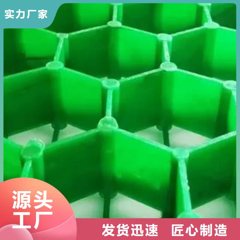 塑料植草格采购请咨询