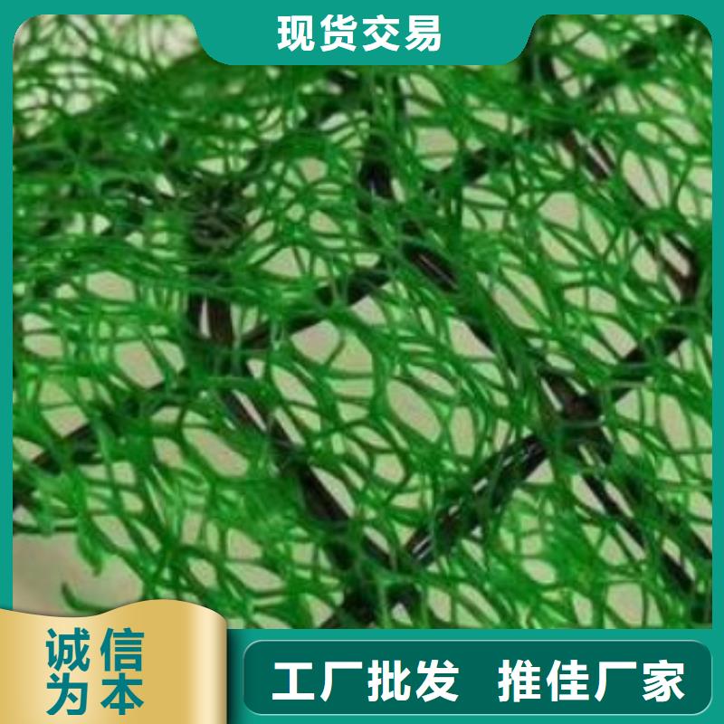 三维植被网型号齐全