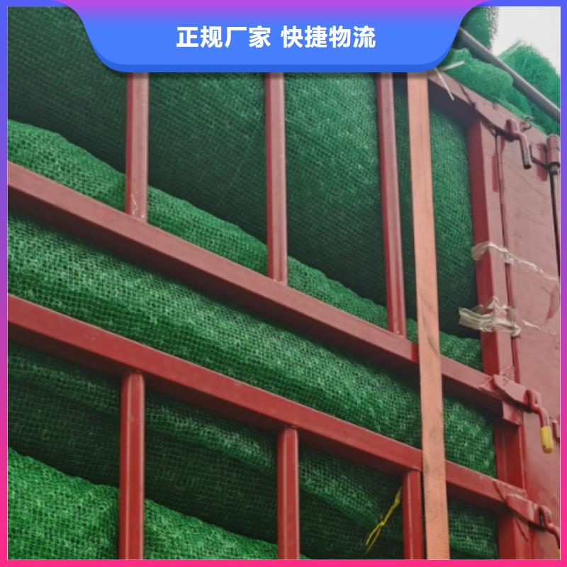 三维植被网型号全-新品发售