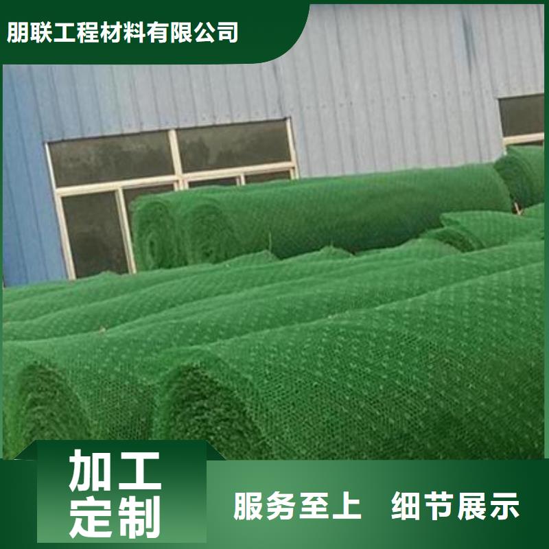 三维植被网-植草格实时报价