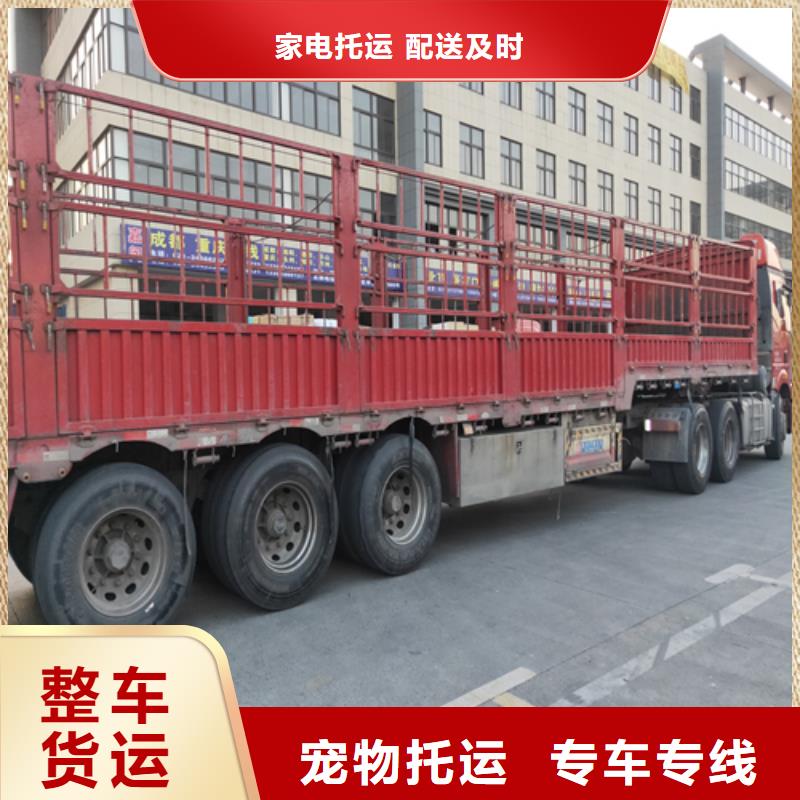 上海发到江门市蓬江区道路运输库存充足
