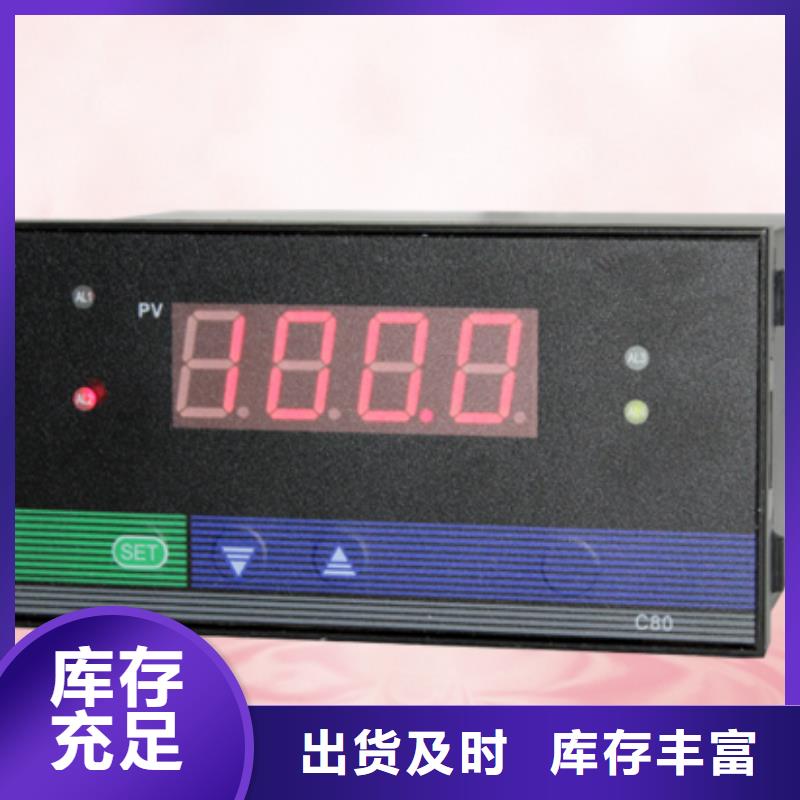 温控仪E6-002-130-001源头好货