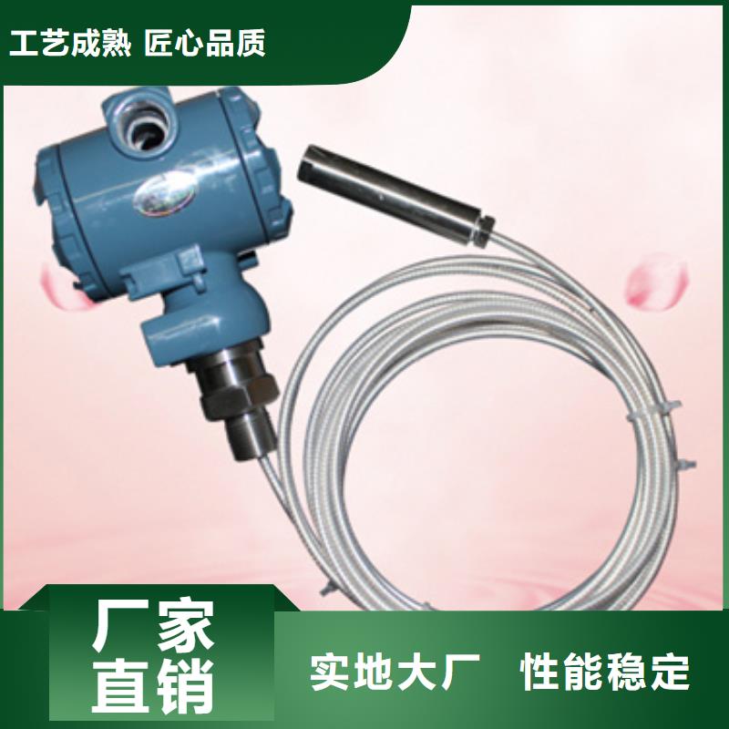 定做压力变送器PDS403H-1GS1-A1DA/G61/G81、优质压力变送器PDS403H-1GS1-A1DA/G61/G81厂家