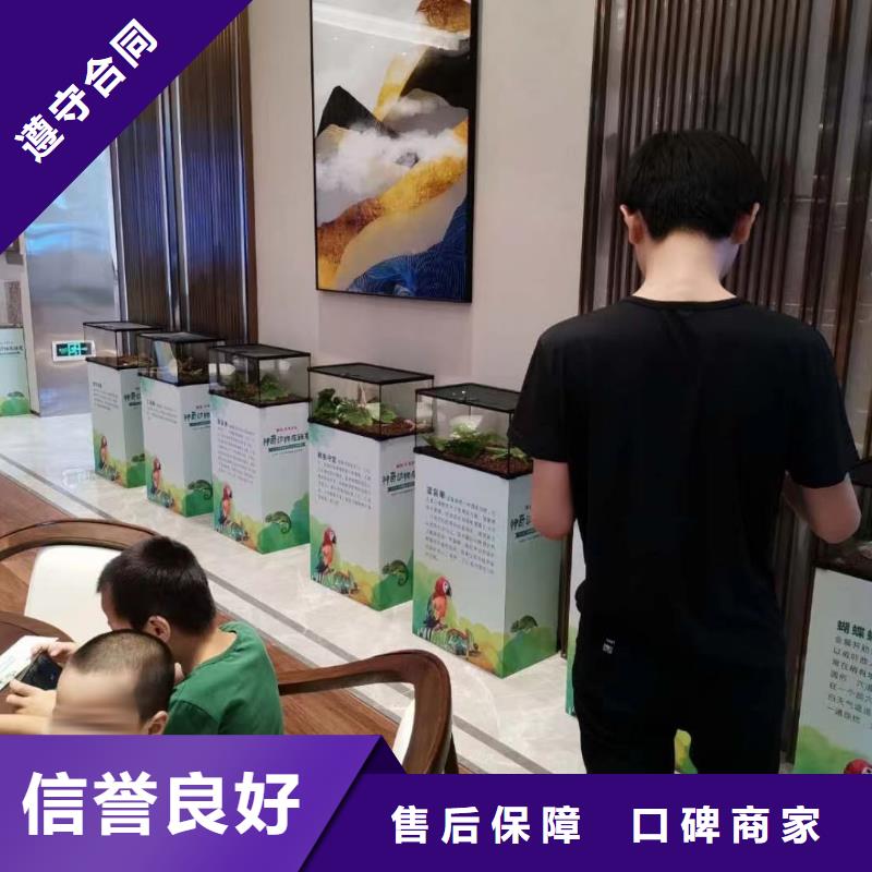 口碑好的萌宠动物展出租公司