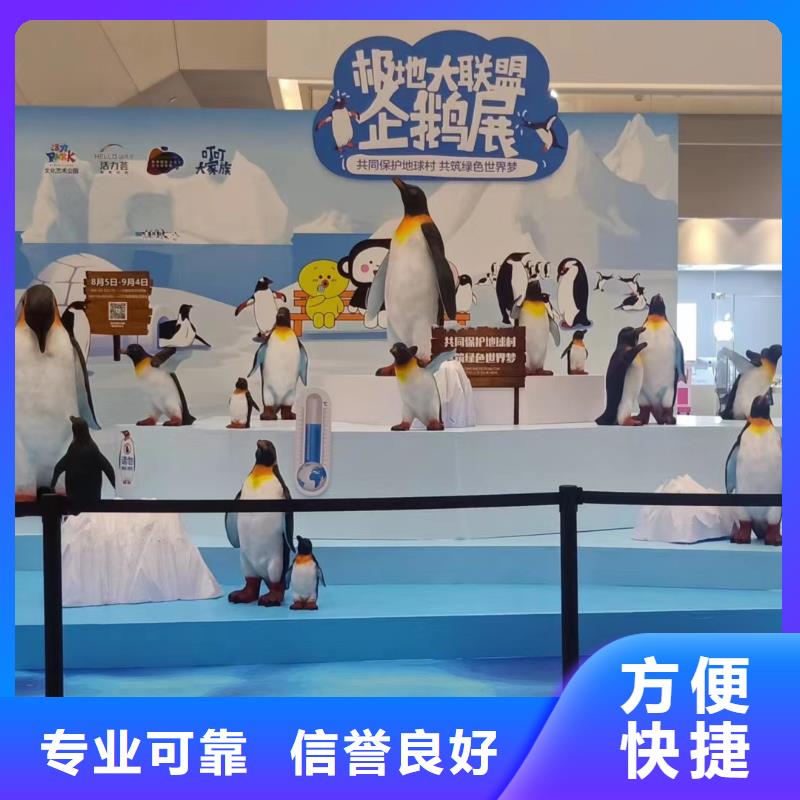 海洋主题动物表演_出租表演萌宠行业口碑好