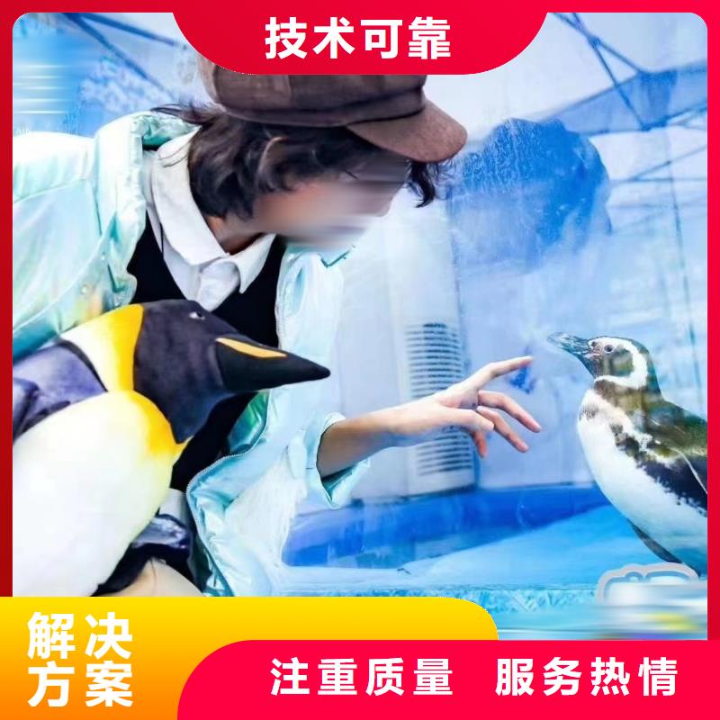 海洋生物展出租公司活动图片