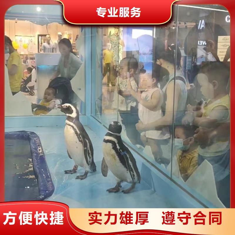 海洋生物展租赁附近