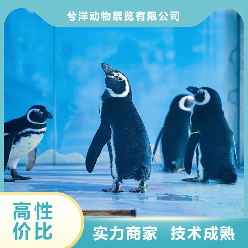 海洋生物展租赁一手资源