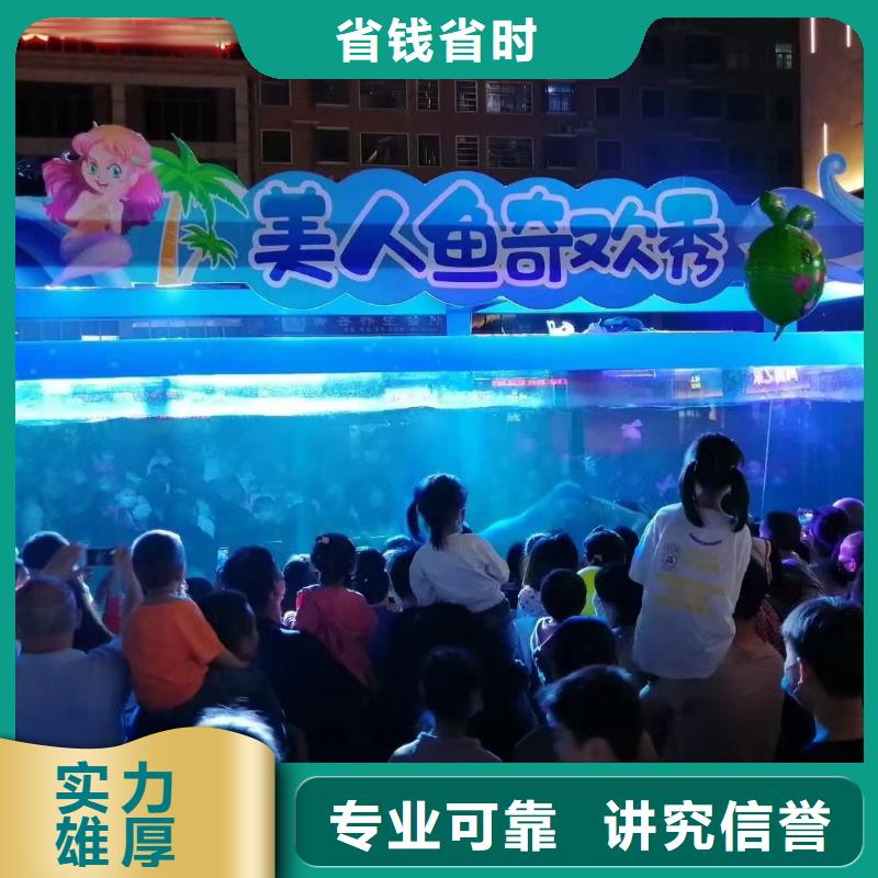 海狮表演