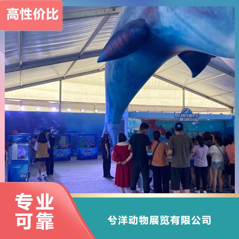 海洋生物展出租