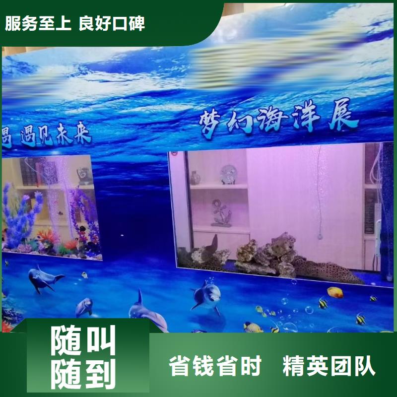 哪有出租海狮表演的活动庆典