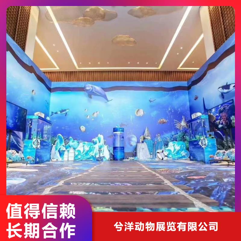 海洋生物展出租丰富多彩