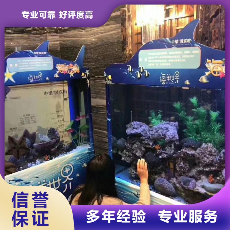 企鹅出租价格主题展览