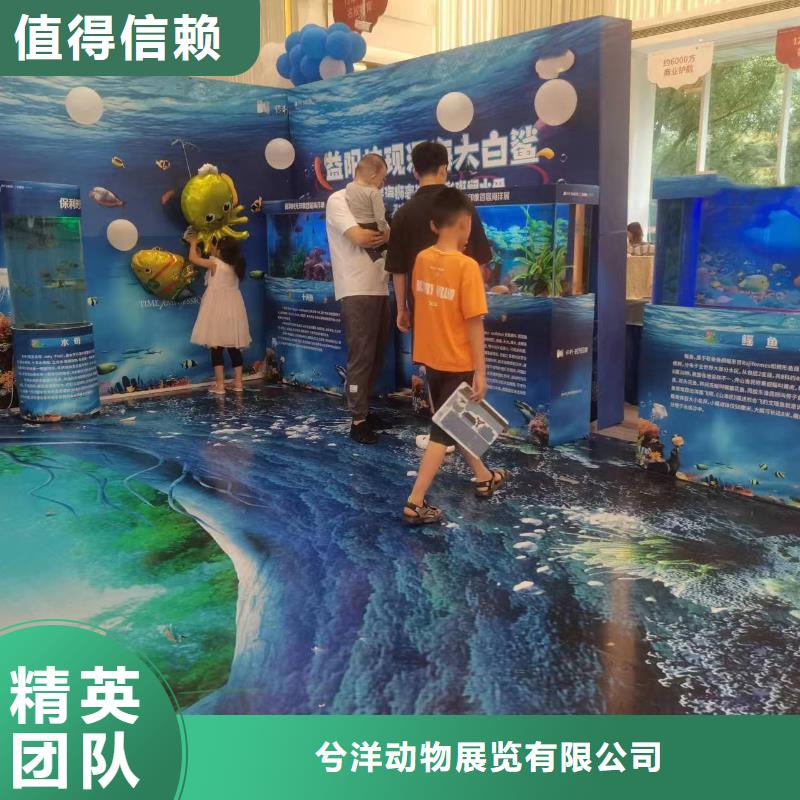 出租海洋生物展实力厂家