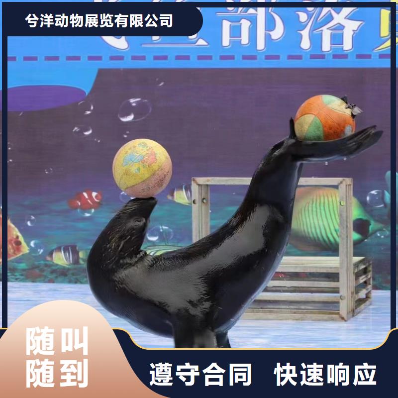 海洋生物展出租公司活动图片