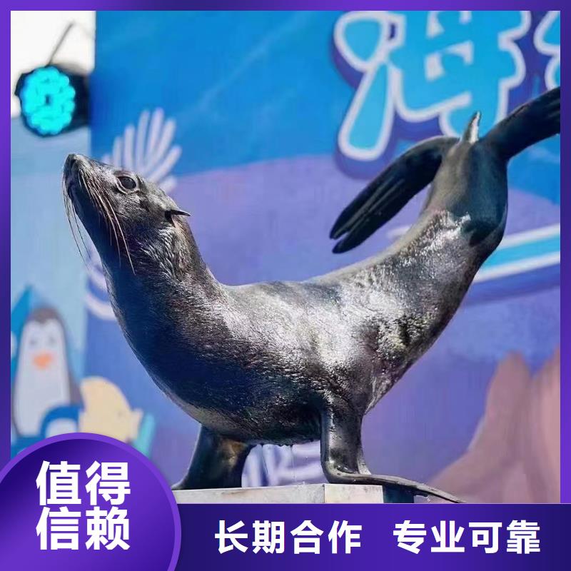 海洋生物展租赁