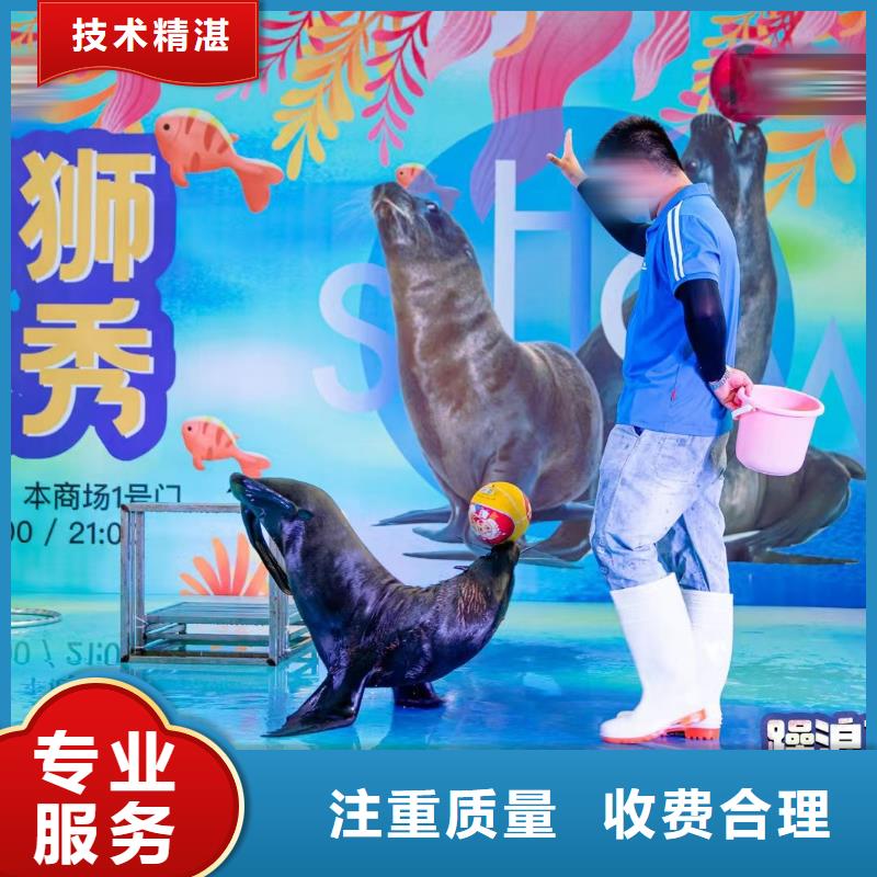 海洋生物鱼缸展出租暖场气氛