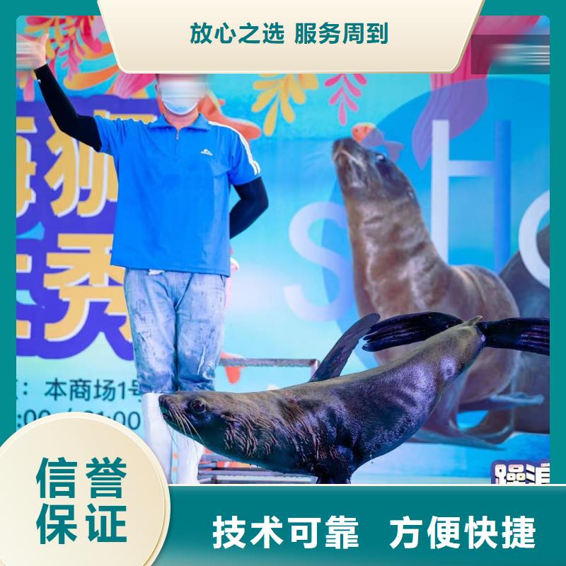 海洋展租赁