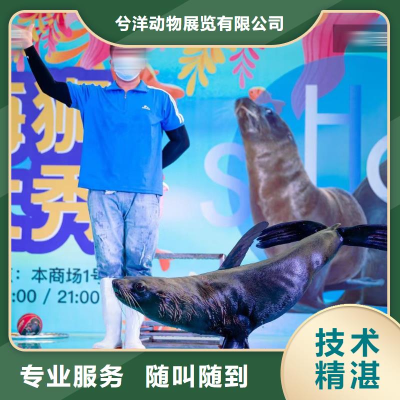 海洋生物展租赁附近