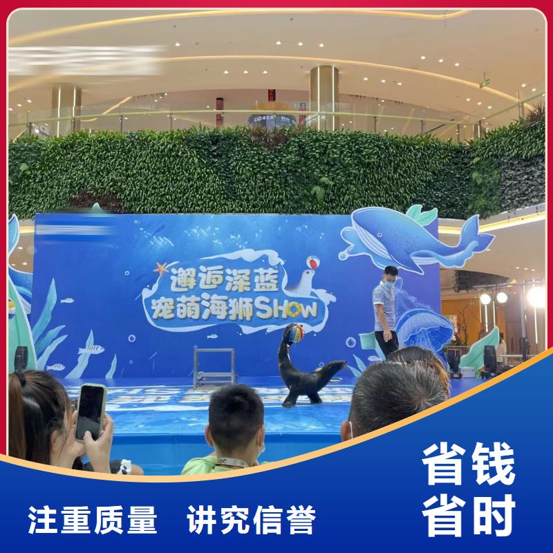 海洋生物展出租图片