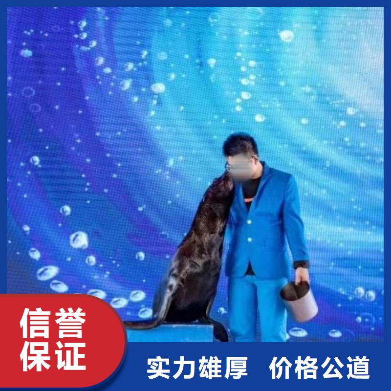 奇幻美人鱼表演租赁活跃气氛