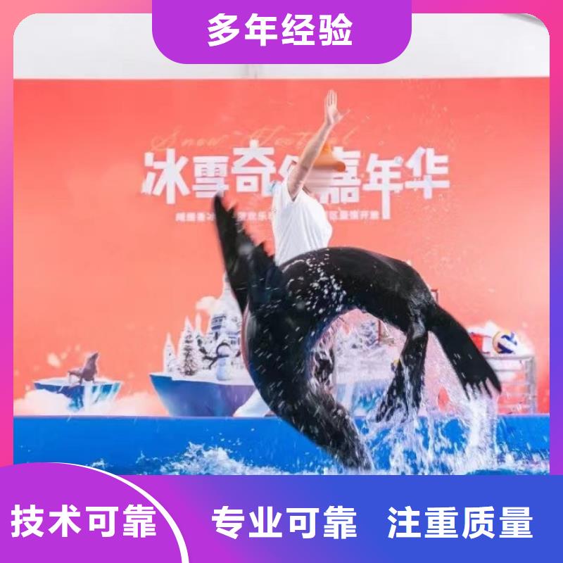 海洋主题动物表演观赏性羊驼租赁随叫随到