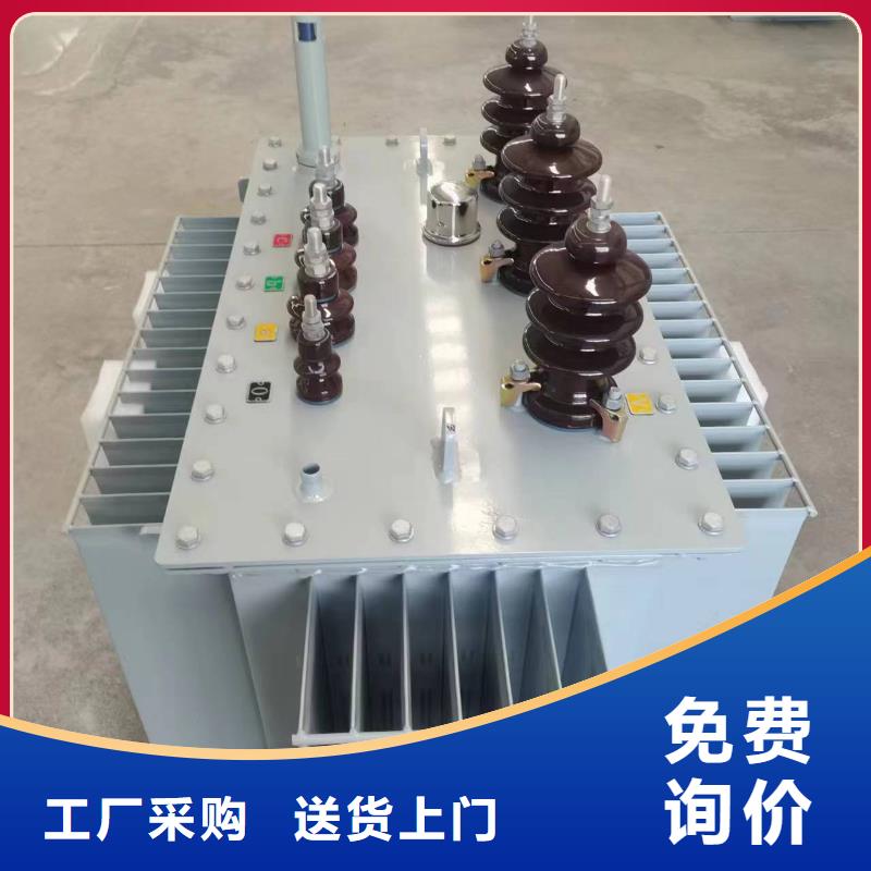 变压器厂家SH17-100KVA10/0.4KV非晶合金油浸式变压器多少钱一台