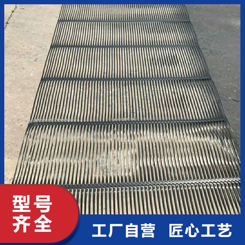 双向塑料格栅供应商