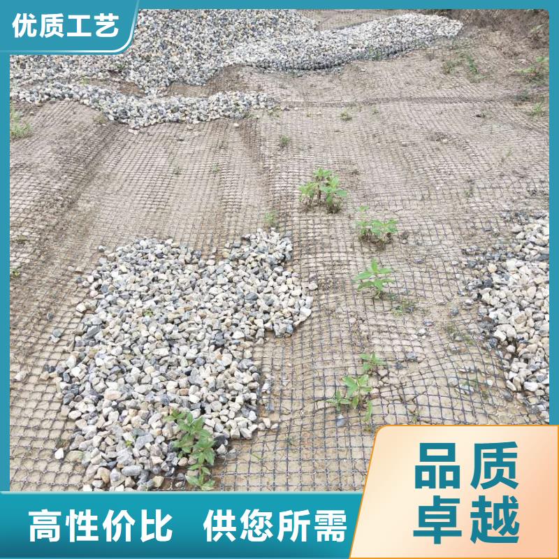 钢塑焊接土工格栅单价