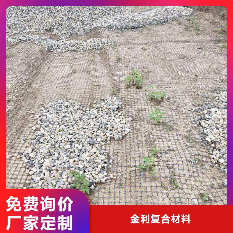 钢塑土工格栅厂家直供