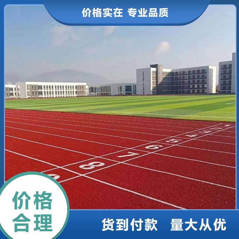 【塑胶跑道羽毛球场围网定制零售批发】