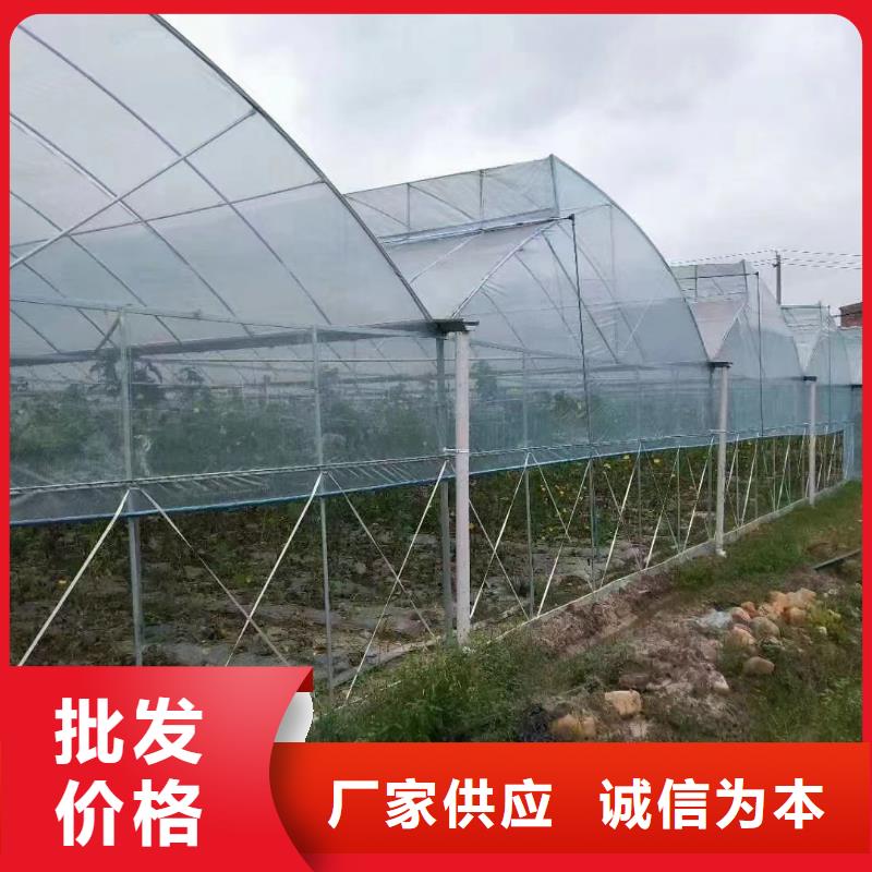 乐东县养殖大棚专用黑白膜能用几年零售
