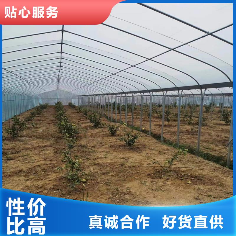 乐东县大棚钢管规格尺寸表生产基地