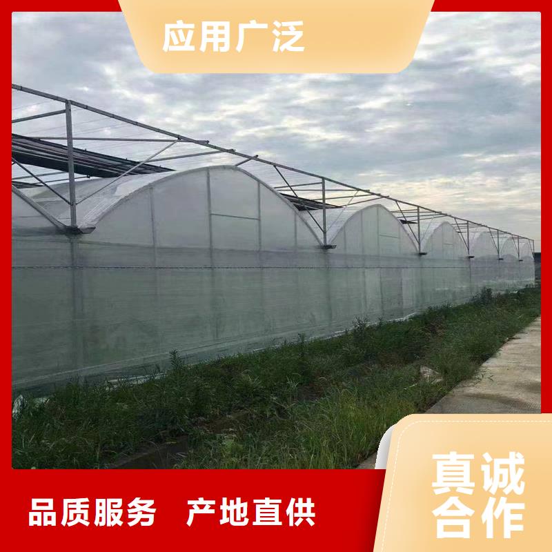 肥东县葡萄避雨大棚批发价格