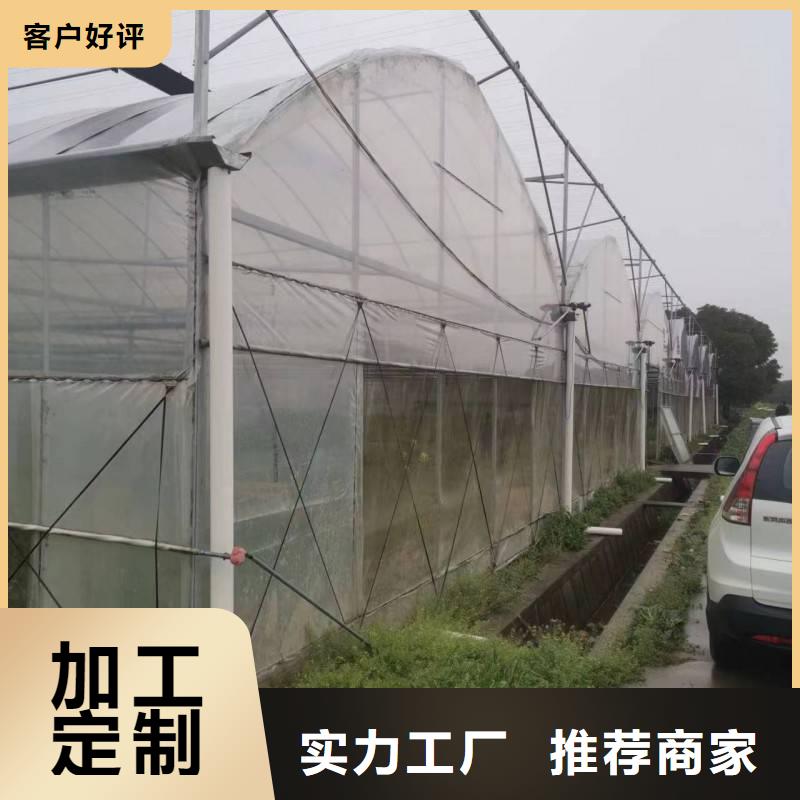 蔬菜大棚6米8米【修饰词