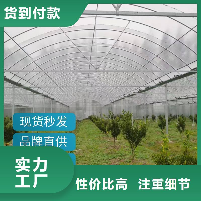 广东省广州市番禺区进口利得绿白膜实体大厂