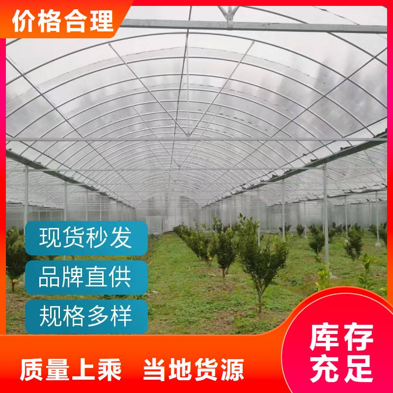 福建省厂家直接面向客户(金荣圣)惠安县花卉育秧温室大棚施工团队