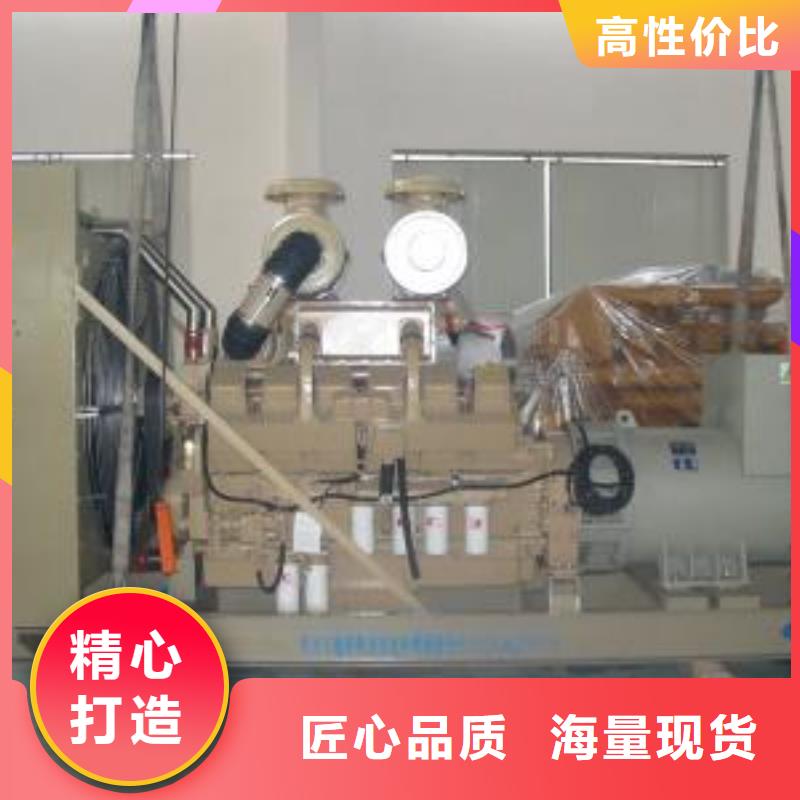 低压变压器电缆租赁大型养殖基地专用后顾无忧