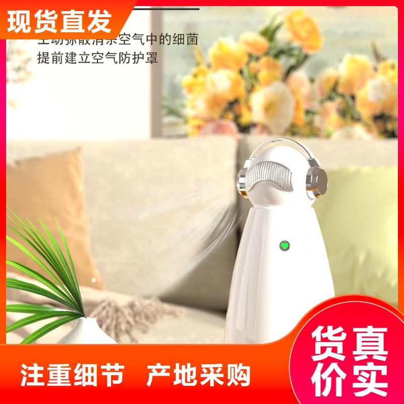 【深圳】客厅空气净化器怎么做代理小白祛味王